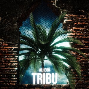 Tribu
