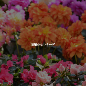 Opulent Saxophone Jazz - Vibe for Dawns Light