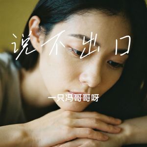说不出口