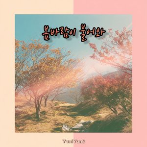 봄바람이 불어와