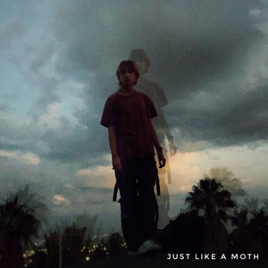 Just Like a Moth