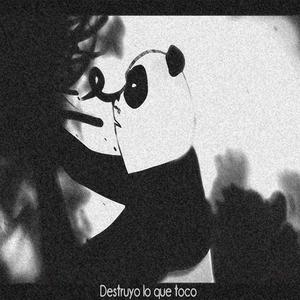 Destruyo lo que toco