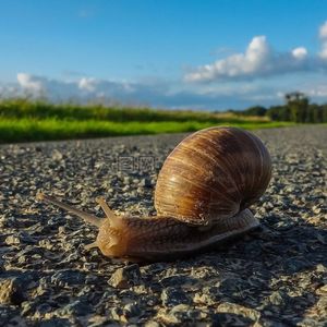 【FREE BEAT】 持之以恒