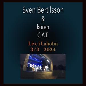 Fåglar (Live i Laholm)