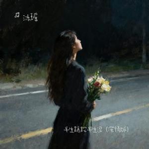 半生蹉跎半生涩 (沐瑶 Remix)