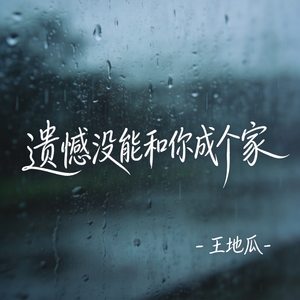 遗憾没能和你成个家（原版）