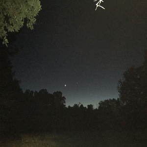 Spider Feet (feat. Yung Lean)