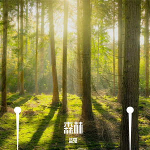 森林（prod by NIHCONNOR）