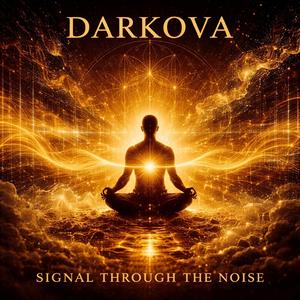 Signal Through The Noise