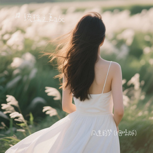 风里的梦 (烟嗓版)