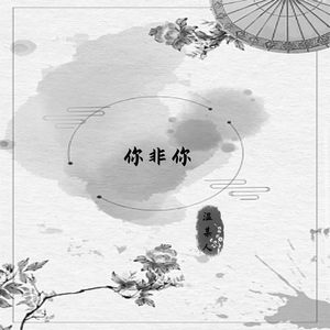你非你