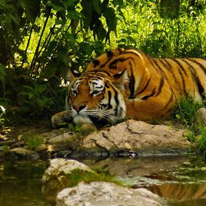 Nothing on You, Bae [feat. Og7even] (Bonus Track)