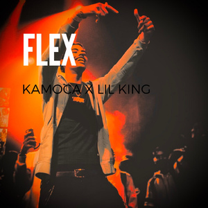 Flex (feat. Lil King)