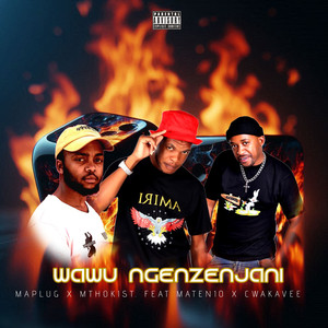 Wawu Ngenzenjani
