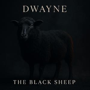 Perfect Imperfectionist