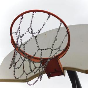 Finest Tree In The D