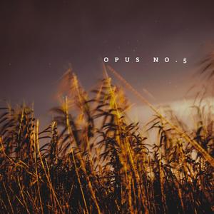 Opus no.5