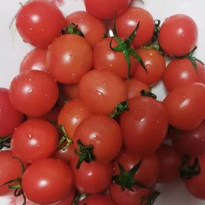 说你讨厌狗男人