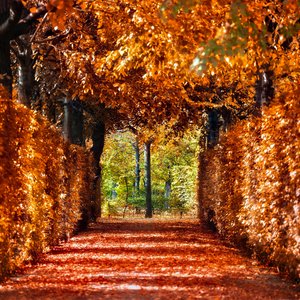 Whisper of the Seasons