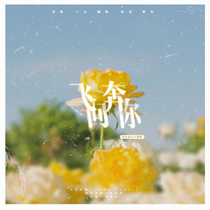 飞奔向你【年度十大CP混剪】