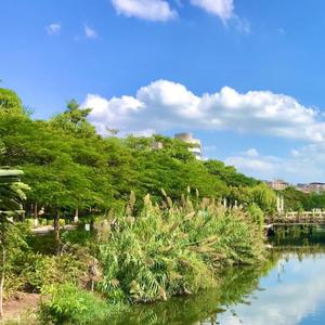 发布了新作品，希望大家喜欢多多支持！