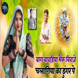 Bag Bavdiya Bheru Biraje Chalaniya Ka Dungar Pe