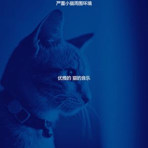 抚慰的压力大的猫回忆