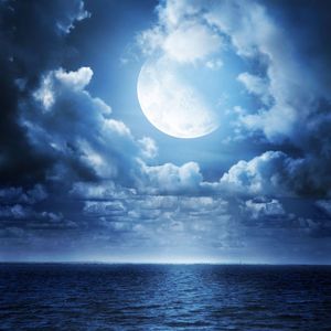 付出的真心是一种晦涩难懂的痛