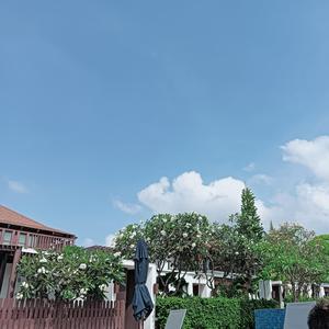 เพื่อนแท้