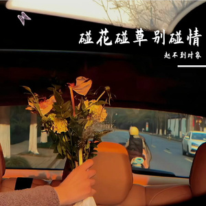 碰花碰草别碰情