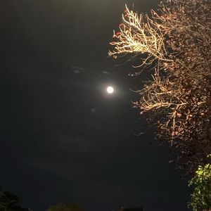 忘了我(prod by FRESH_ye)