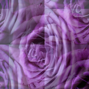 Width