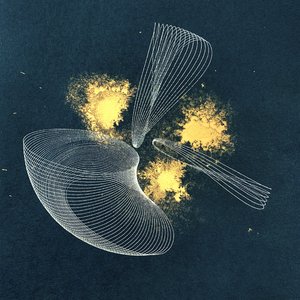 Veiled (Tammy Adams Rework)