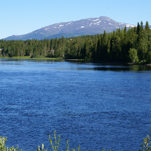 Floden (feat. Eva-Karin Håkansson) (Swedish guitar) (Swedish guitar)