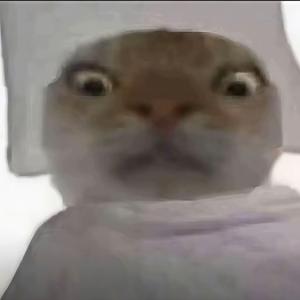 回答我（废话语录）