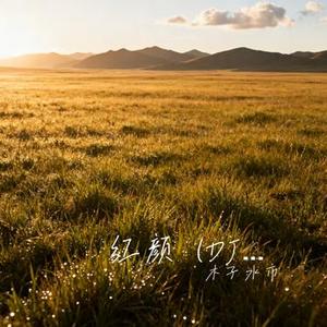 红颜 (DJ版) (Cover 胡彦斌)