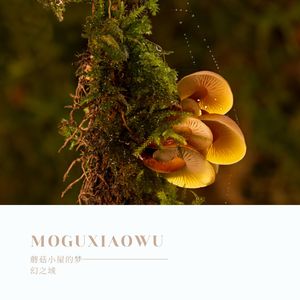 蘑菇小屋的晨露之音 (温暖)