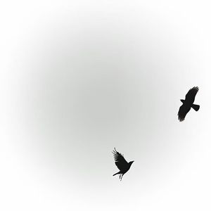 我永远爱傍晚轻抚的微风和落日黄昏