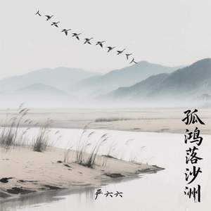 孤鸿落沙洲