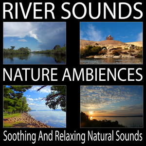 Ganges (Himalayas in India/Sunderbans Delta in the Bay of Benga) (Loopable, No Fade)