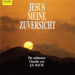 Es reisset euch ein schrecklich Ende, BWV 90: Chorale: Leit uns mit deiner rechten Hand