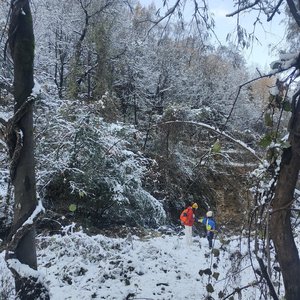 雪落时想起你.wav