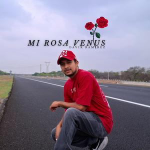 Mi Rosa Venus