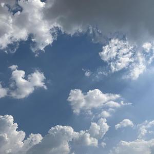 Light, Camera, Action