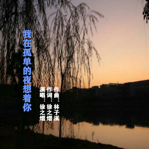 我在孤单的夜里想你