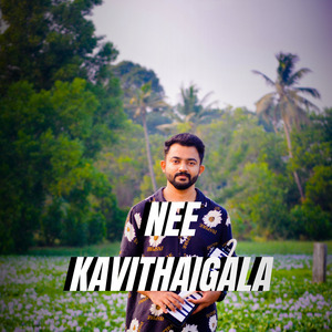 Nee Kavithaigala