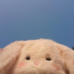 软萌小宇宙