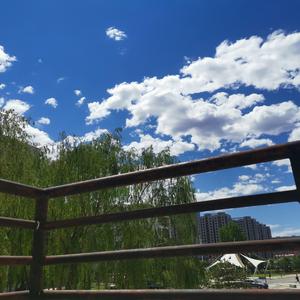 就让我在春风沉醉的夜晚老去