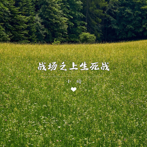 战场之上生死战