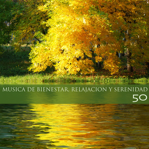 Musica Indiana Trascendental